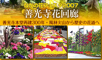 ながの花フェスタ2007 善光寺花回廊